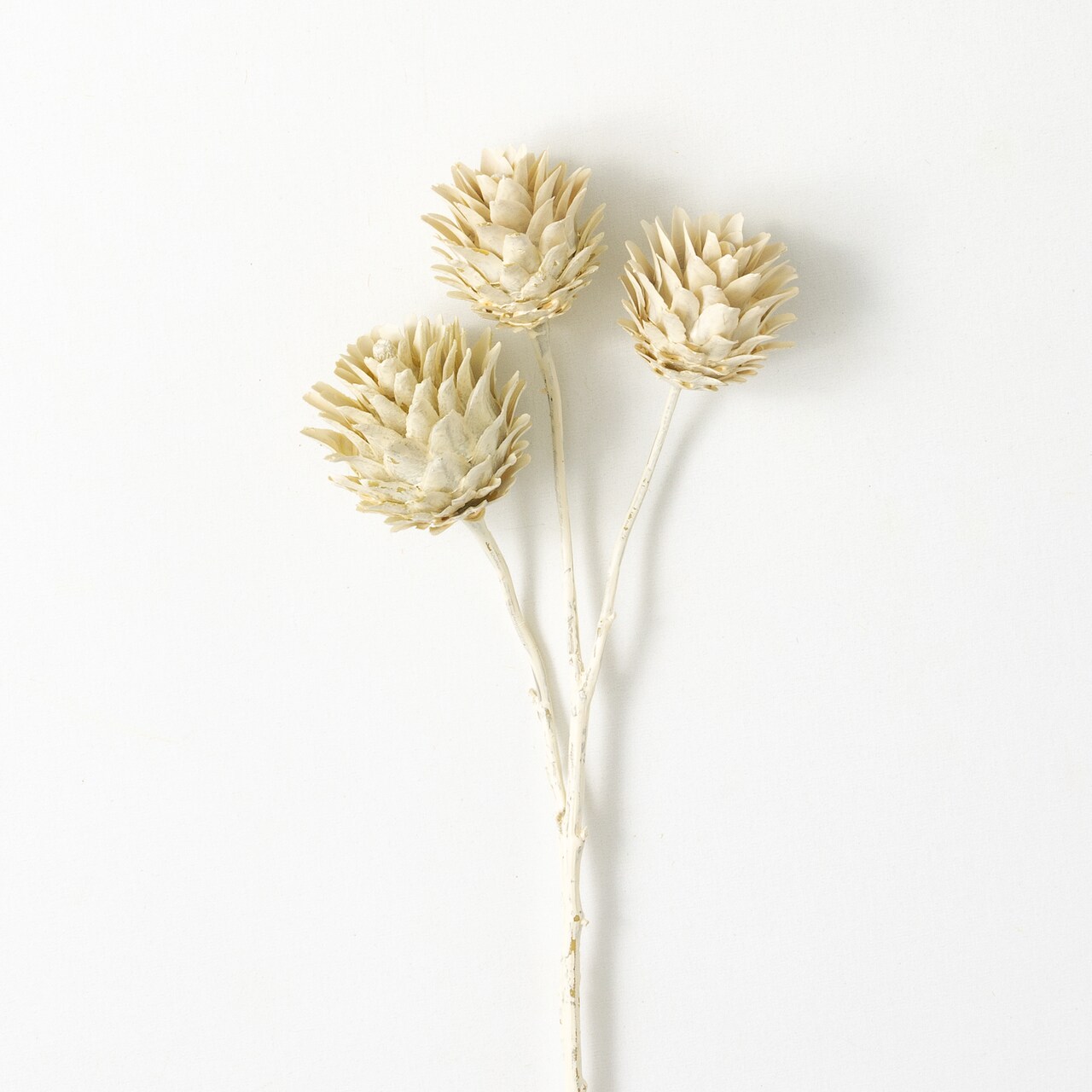 Sullivan's Dragon Spray, White Faux Floral Stem for Crafting, Weddings, Home and Holiday Decoration, 23 Inch